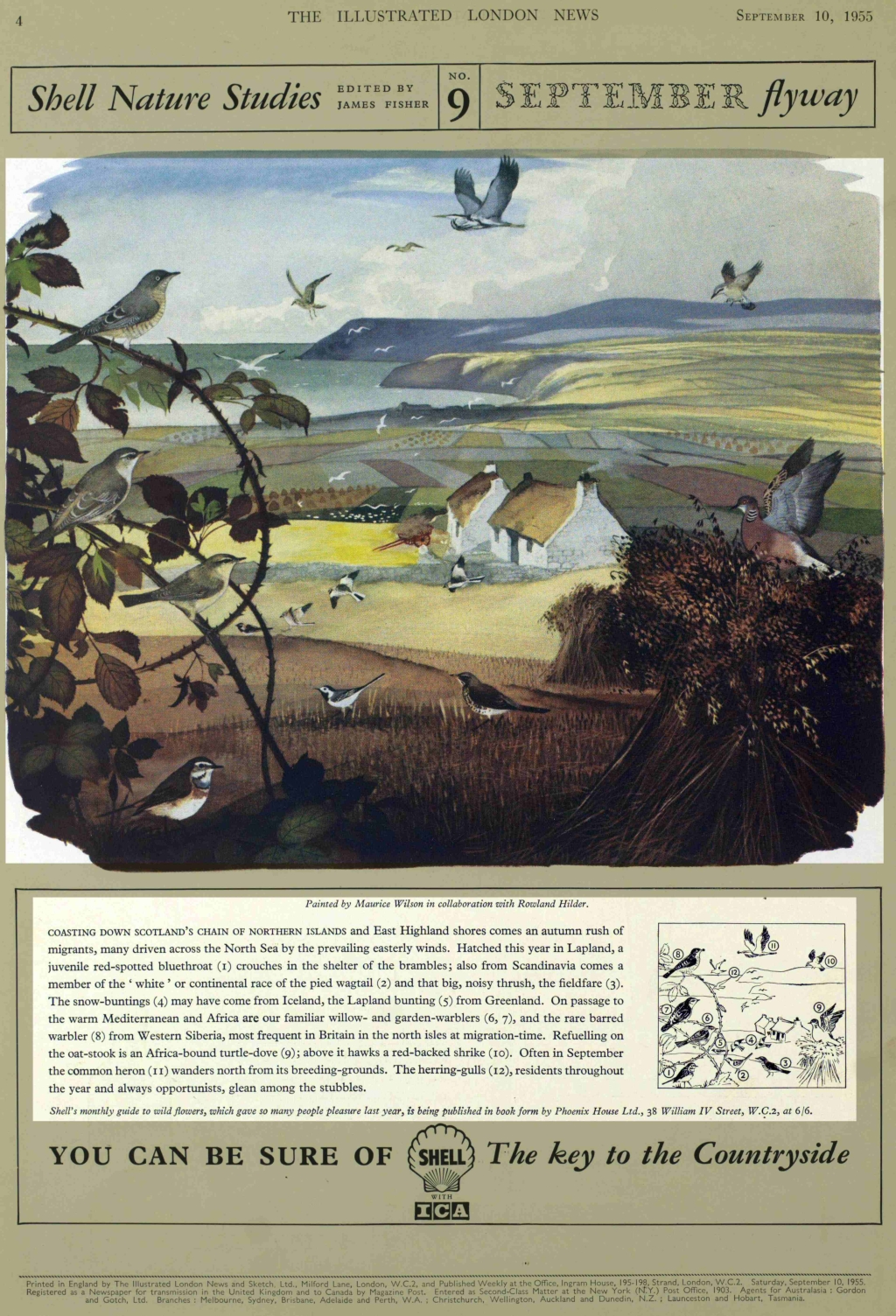 Shell september flyaway